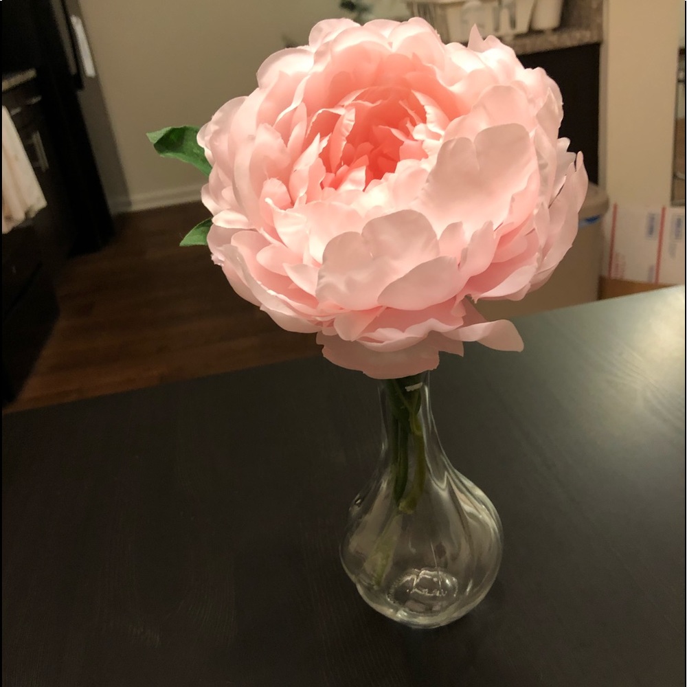 Peony in vase
